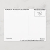 Cascade Lakes Hwy Bend, Oregon Briefkaart (Achterkant)