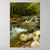 Cascade Mountain Print (Voorkant)