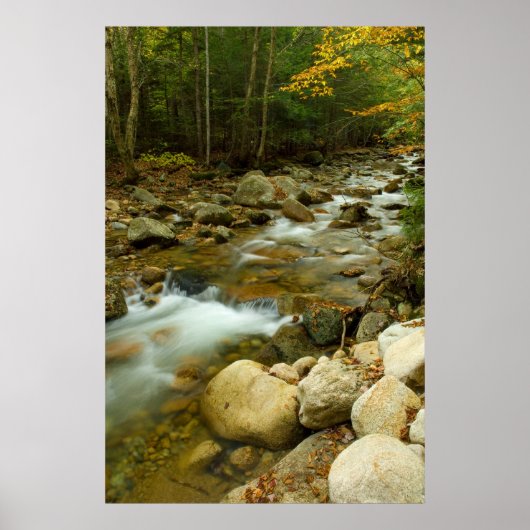 Cascade Mountain Print (Voorkant)