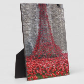 Cascade of Poppies - Tower of London Fotoplaat (Zijkant)