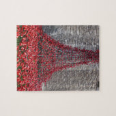 Cascade of Poppies - Tower of London Legpuzzel (Horizontaal)