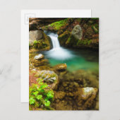 Cascade on Hare Creek, Californië Briefkaart (Voorkant / Achterkant)