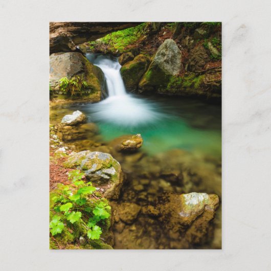 Cascade on Hare Creek, Californië Briefkaart (Voorkant)