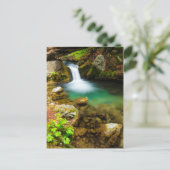 Cascade on Hare Creek, Californië Briefkaart (Staand voorkant)