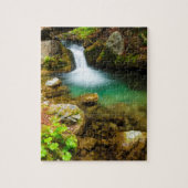 Cascade on Hare Creek, Californië Legpuzzel (Verticaal)