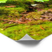 Cascade on Hare Creek, Californië Poster (Hoek)