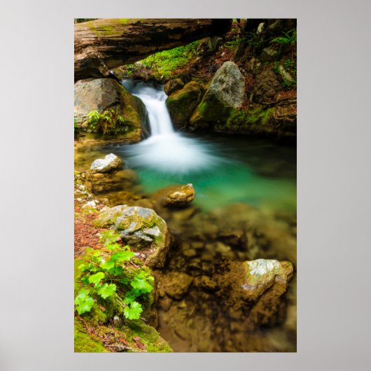 Cascade on Hare Creek, Californië Poster (Voorkant)