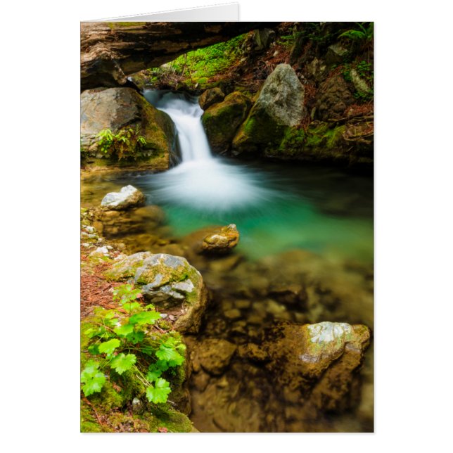 Cascade op Hare Creek, Californië (Voorkant)