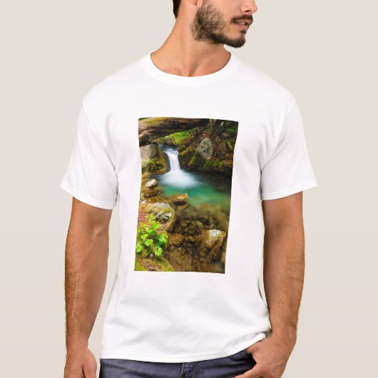 Cascade op Hare Creek, Californië T-shirt (Voorkant)