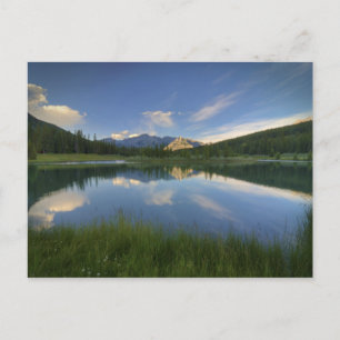 Cascade Ponds Briefkaart