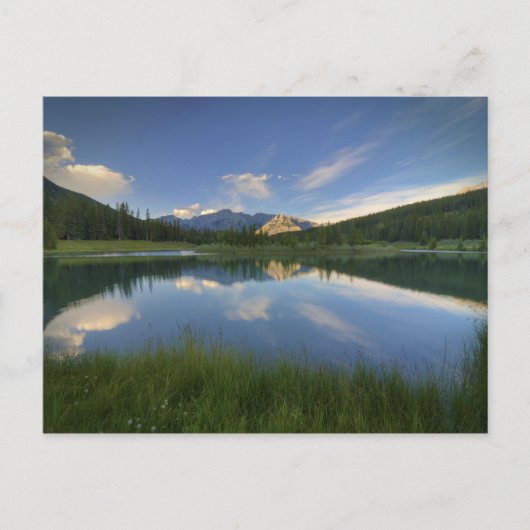 Cascade Ponds Briefkaart (Voorkant)