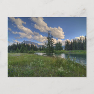 Cascade Ponds Briefkaart