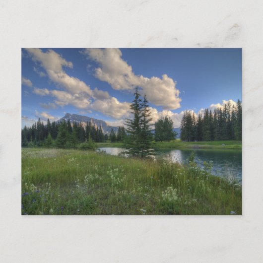 Cascade Ponds Briefkaart (Voorkant)