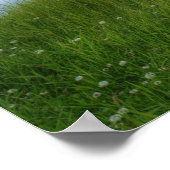 Cascade Ponds Poster (Hoek)