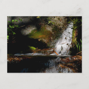 CASCADE. POOL. HERFSTEN. Meditatie-een manier om t Briefkaart