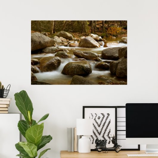 Cascade Print (Thuiskantoor)