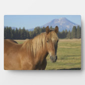 Cascade Range | Kastanjebruine Paard Fotoplaat (voorkant)