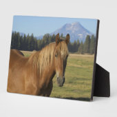 Cascade Range | Kastanjebruine Paard Fotoplaat (Zijkant)