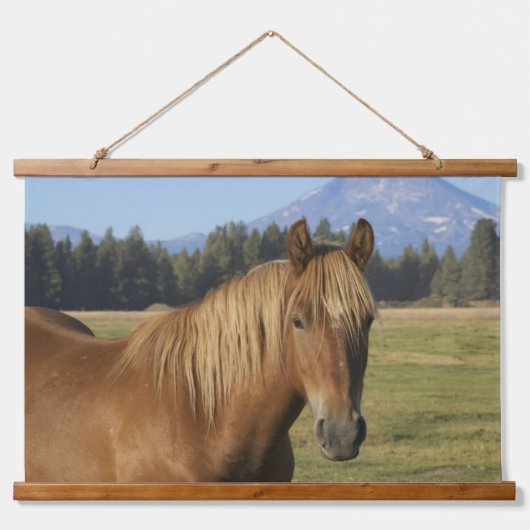 Cascade Range | Kastanjebruine paard Hangend Wandkleed (Voorkant)