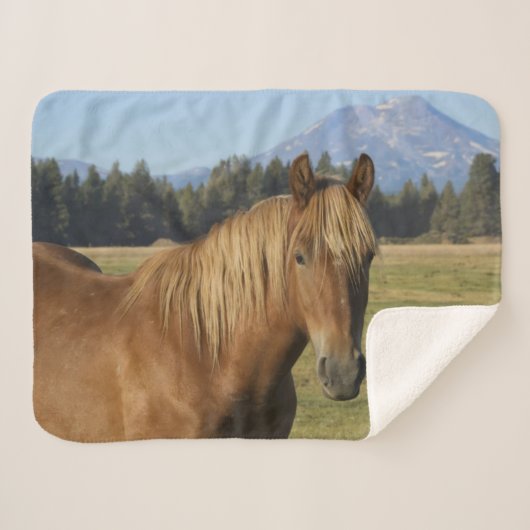 Cascade Range | Kastanjebruine Paard Sherpa Deken (Voorkant (horizontaal))
