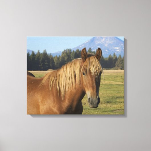 Cascade Range | Kastanjepaarden Canvas Afdruk (Voorkant)