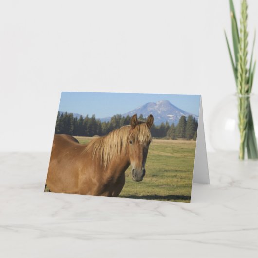 Cascade Range | Kastanjepaarden Kaart (Voorkant)