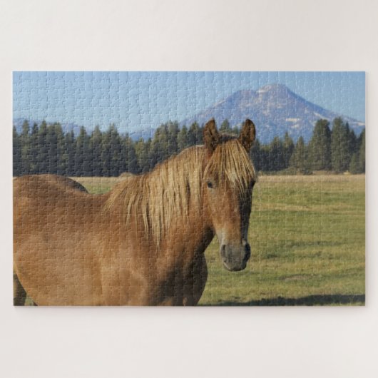 Cascade Range | Kastanjepaarden Legpuzzel (Horizontaal)