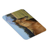 Cascade Range | Kastanjepaarden Magneet (Rechterzijde)