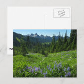 Cascade Range van Mount Rainier National Park Briefkaart (Voorkant / Achterkant)