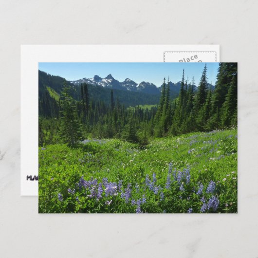 Cascade Range van Mount Rainier National Park Briefkaart (Voorkant / Achterkant)