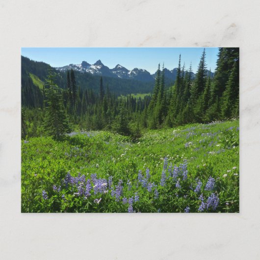 Cascade Range van Mount Rainier National Park Briefkaart (Voorkant)