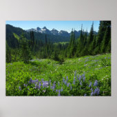 Cascade Range van Mount Rainier National Park Poster (Voorkant)