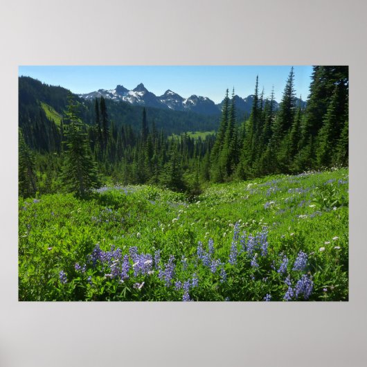 Cascade Range van Mount Rainier National Park Poster (Voorkant)