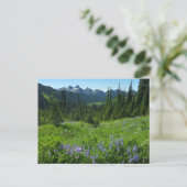 Cascade Range vanuit Mount Rainier National Park Briefkaart (Staand voorkant)
