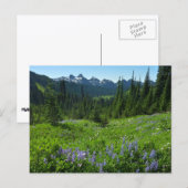 Cascade Range vanuit Mount Rainier National Park Briefkaart (Voorkant / Achterkant)