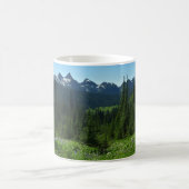 Cascade Range vanuit Mount Rainier National Park Koffiemok (Center)