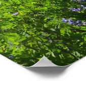 Cascade Range vanuit Mount Rainier National Park Poster (Hoek)