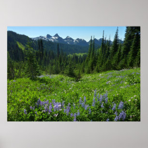 Cascade Range vanuit Mount Rainier National Park Poster