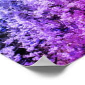 Cascade van de lente bloesems getint poster (Hoek)