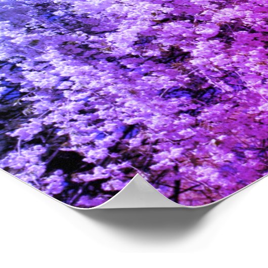 Cascade van de lente bloesems getint poster (Hoek)