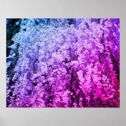 Cascade van de lente bloesems getint poster (Voorkant)