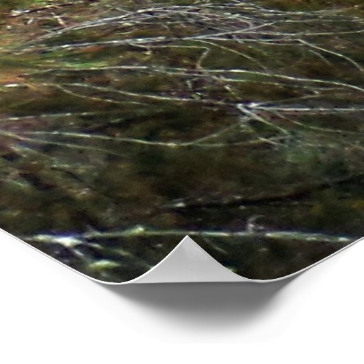 Cascade van Natuur bij Fitzroy Herfsten Poster (Hoek)