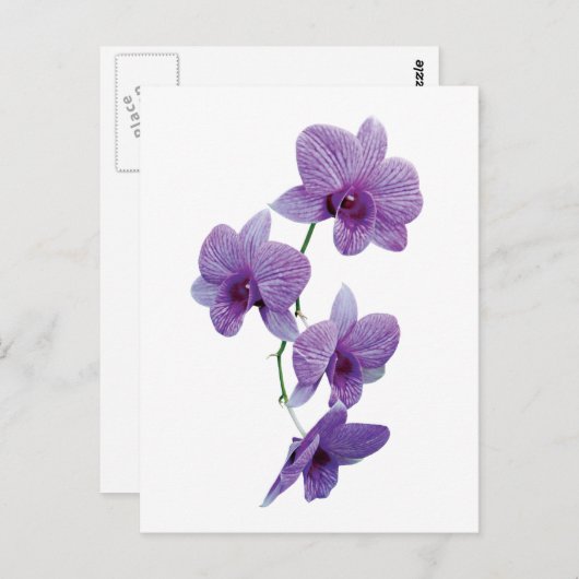 Cascade van Paarse orchideeën Briefkaart (Voorkant / Achterkant)