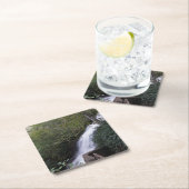Cascade Waterval, Blue Ridge Mountains Kartonnen Onderzetters (Insitu)