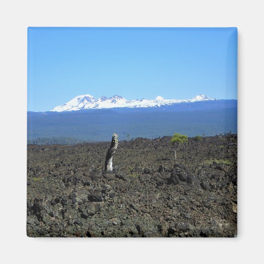 Cascades en Lava Rocks, Oregon Magneet (Voorkant)