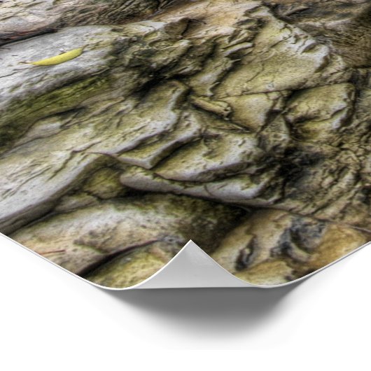 Cascading Creek - Austin, Texas Poster (Hoek)