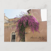 Cascading Flowers op een oud gebouw Briefkaart (Voorkant)