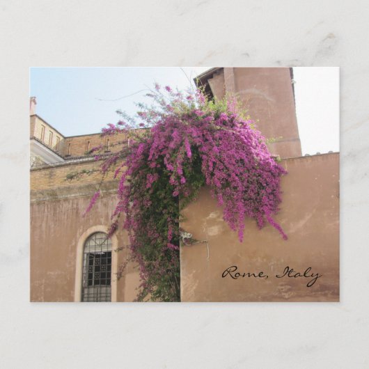 Cascading Flowers op een oud gebouw Briefkaart (Voorkant)