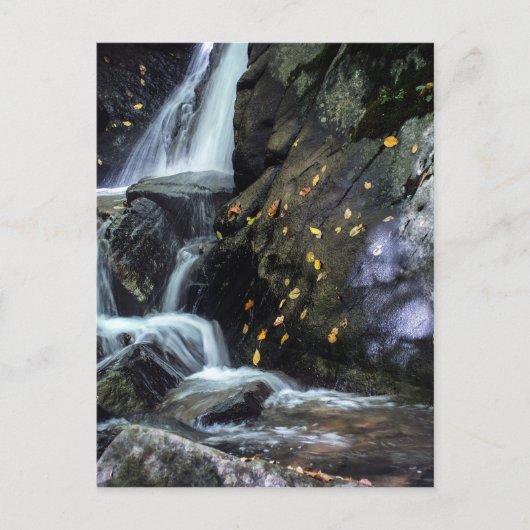 Cascading Herfsten Briefkaart (Voorkant)