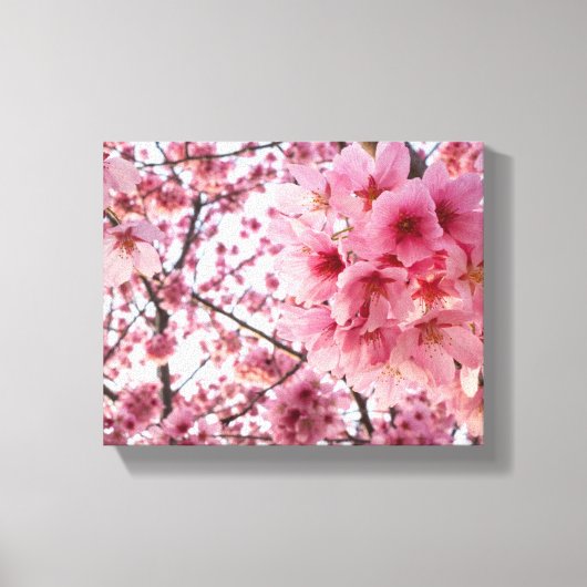 Cascading Pink Cherry Blossoms Wall Art Canvas Afdruk (Voorkant)